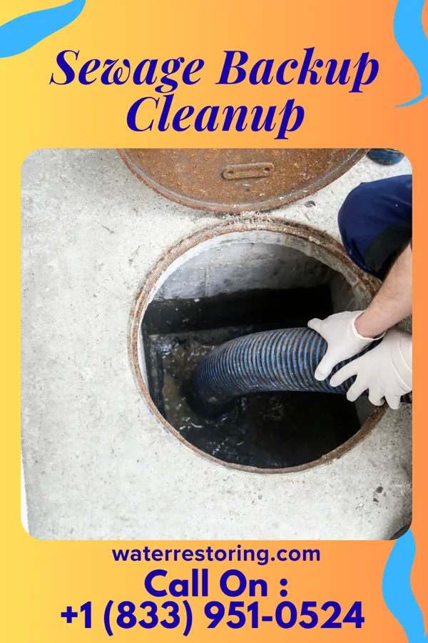 Sewage Backup Cleanup in Rockaway Beach, MO