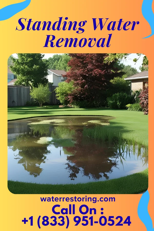 Standing Water Removal in Rockaway Beach, MO